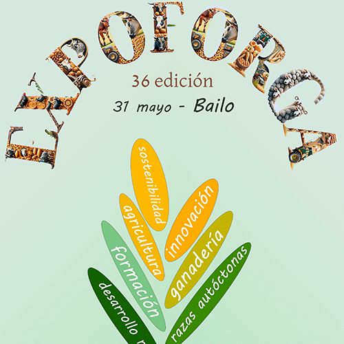 Expoforga 2025