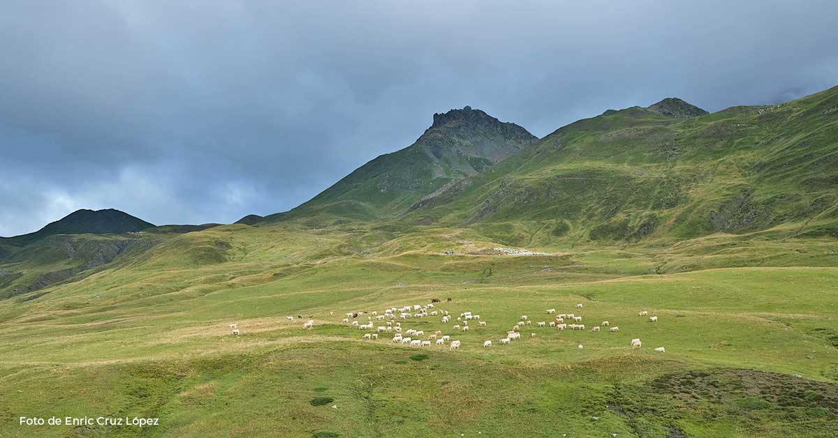 Del 15 al 18 de julio, Villanúa se sumerge en un viaje al pasado con la celebración de la Semana de la Prehistoria, una propuesta única en el Pirineo aragonés que combina historia, naturaleza y experiencias familiares. Durante cuatro días, esta localidad de la Jacetania se convertirá en un auténtico campamento prehistórico, con talleres, rutas interpretativas, charlas y actividades para descubrir cómo vivían los primeros pastores que habitaron estas montañas. 