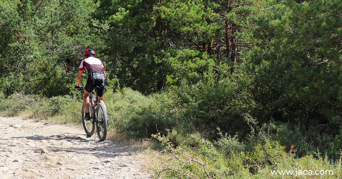 Durante todo el mes, Jaca vuelve a convertirse en punto de encuentro para los amantes de la montaña con la segunda edición del Mes de la Montaña, una iniciativa que reúne actividades culturales, deportivas y divulgativas en torno al montañismo, la naturaleza y el turismo activo.