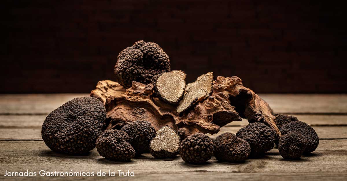 Jaca se rinde al aroma de la trufa negra