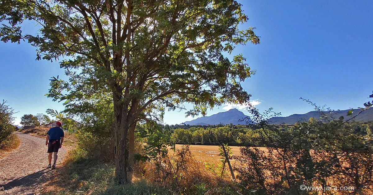 Regresa ‘Jaca al Natural’ con nueve paseos interpretativos gratuitos gratuitos, entre abril y octubre, para descubrir la riqueza natural, paisajística y patrimonial del municipio.
