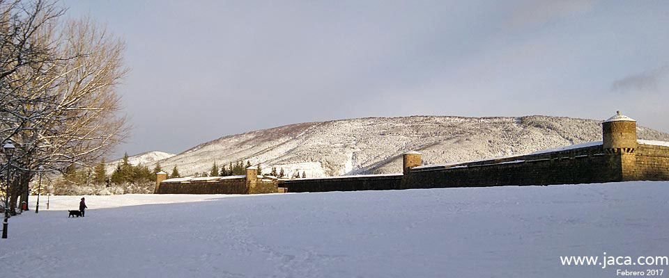 Nieve en Jaca. Febrero 2017